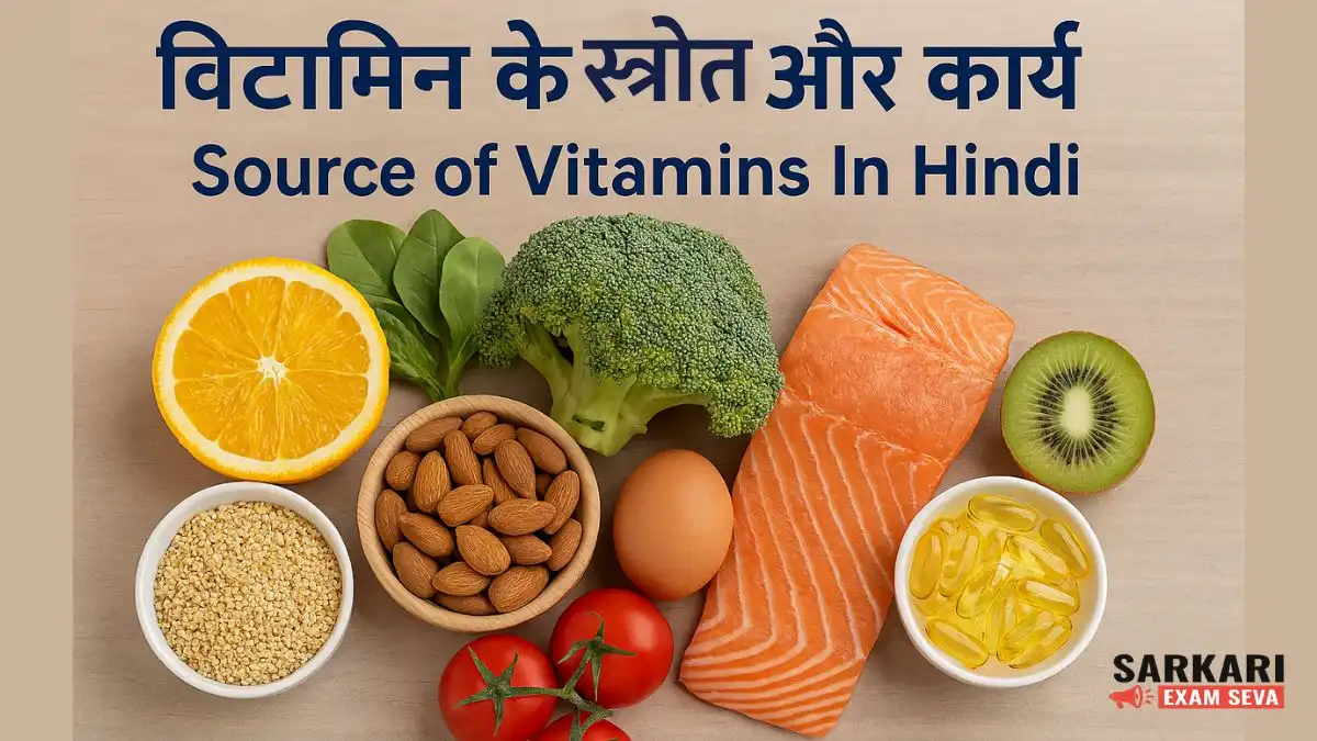 Vitamin ke Sources in Hindi, Vitamin ke Functions in Hindi, विटामिन के स्रोत, विटामिन के कार्य, Vitamins in Hindi, Types of Vitamins in Hindi, Vitamin A B C D E K ke sources, विटामिन A B C D E K के कार्य, विटामिन के फायदे हिंदी में, Vitamin K sources and functions in Hindi, Health Tips in Hindi, Body ke liye vitamins